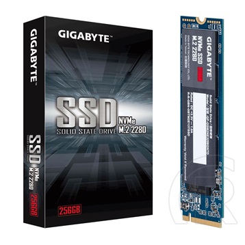 256 GB Gigabyte NVMe SSD (M.2, 2280, PCIe)