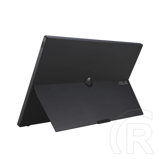 15,6" Asus ZenScreen MB16AWP monitor