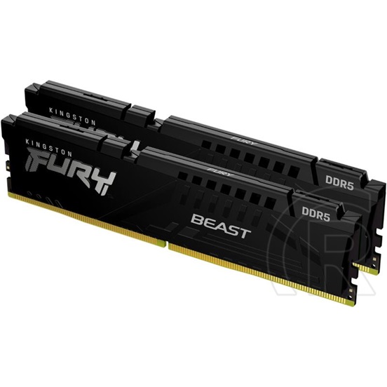 16 GB DDR5 5600 MHz RAM Kingston Fury Beast Black (2x8 GB)