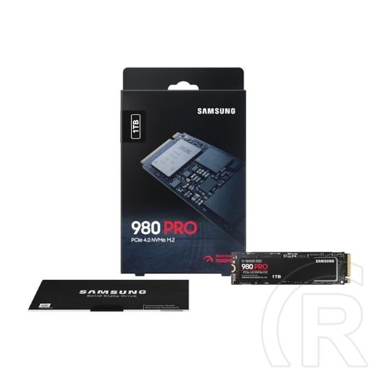 1 TB Samsung 980 PRO NVMe SSD (M.2, 2280, PCIe)