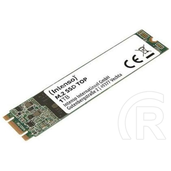 1 TB Intenso Top M.2 SATA SSD (M.2, 2280)