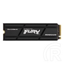 1 TB Kingston Fury Renegade NVMe SSD (M.2, 2280, PCIe)