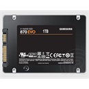 1 TB Samsung 870 EVO SSD (2,5", SATA3)