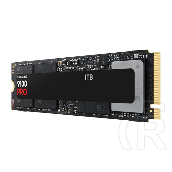 1 TB Samsung 9100 PRO NVMe SSD (M.2, 2280, PCIe)