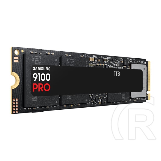 1 TB Samsung 9100 PRO NVMe SSD (M.2, 2280, PCIe)