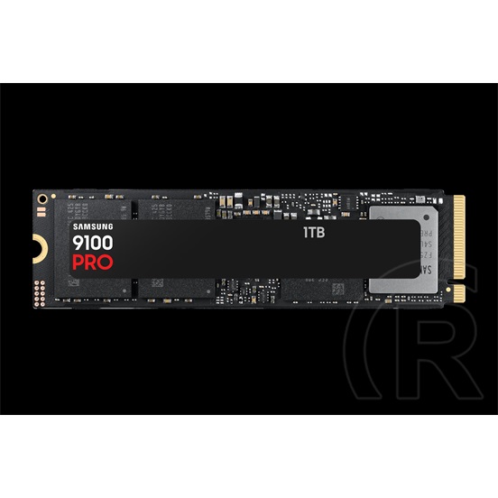 1 TB Samsung 9100 PRO NVMe SSD (M.2, 2280, PCIe)