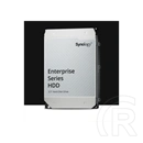 20 TB Synology Enterprise HAT5320-20T HDD (3,5", 7200 rpm)