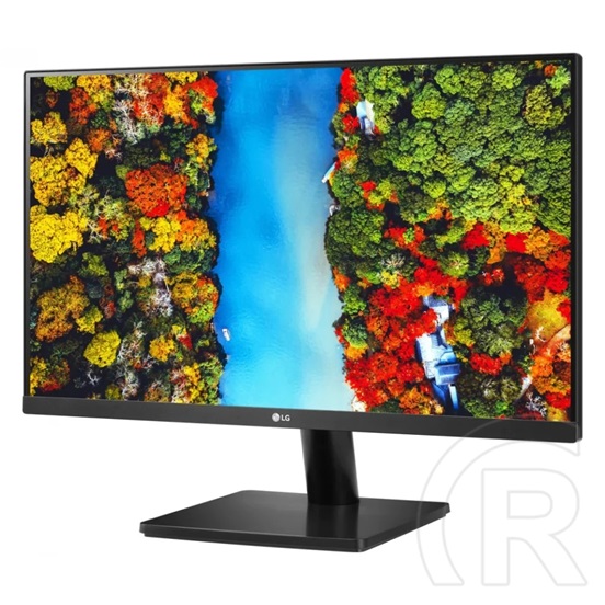 23.8" LG 24MP500-B monitor