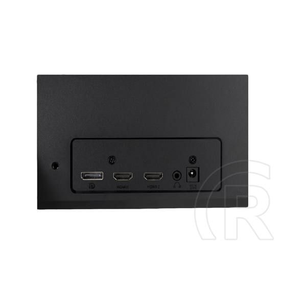 24" Asus VG249Q1R monitor