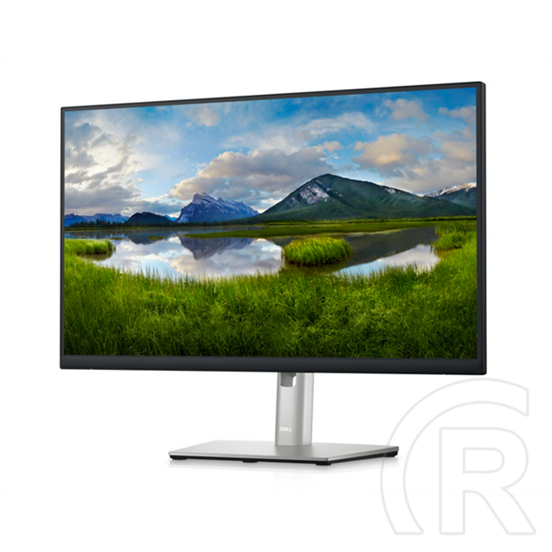 24" Dell P2423D monitor (IPS, 2560x1440, DP+HDMI)