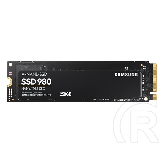 250 GB Samsung 980 NVMe SSD (M.2, 2280, PCIe)