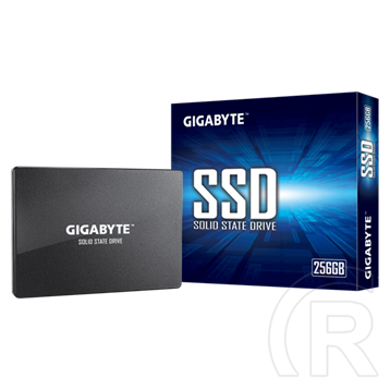 256 GB Gigabyte SSD (2,5