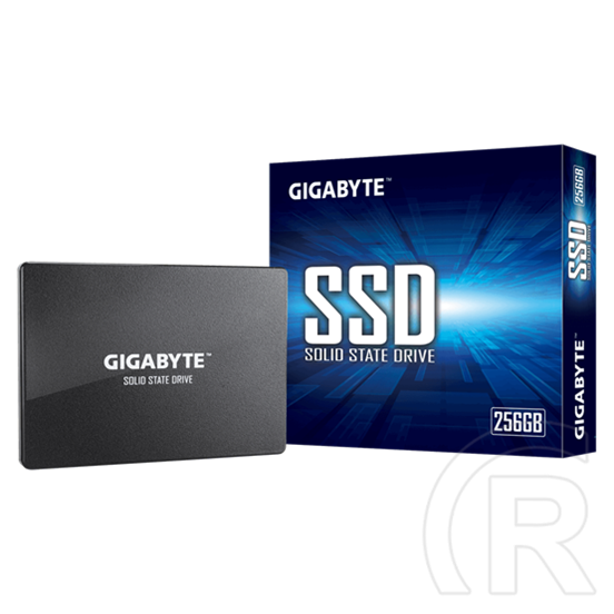 256 GB Gigabyte SSD (2,5", SATA3)