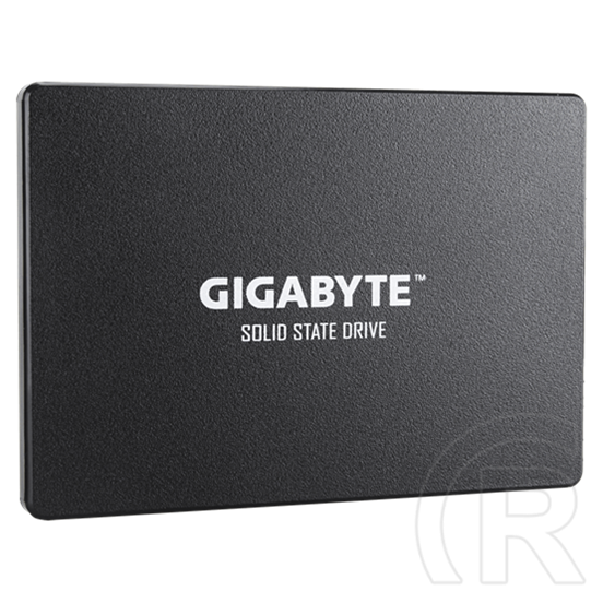 256 GB Gigabyte SSD (2,5", SATA3)