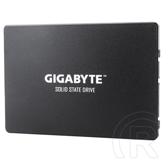 256 GB Gigabyte SSD (2,5", SATA3)