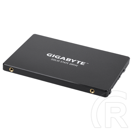 256 GB Gigabyte SSD (2,5", SATA3)