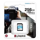 256GB SDXC Card Kingston Canvas Go! Plus (Class 10, UHS-I U3)
