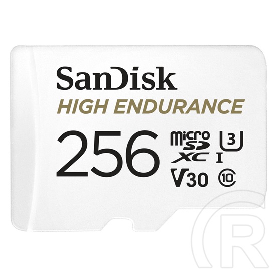 256 GB MicroSDXC Card SanDisk High Endeurance (SDSQQNR-256G-GN6IA, Class 10, UHS-I U3, V30)