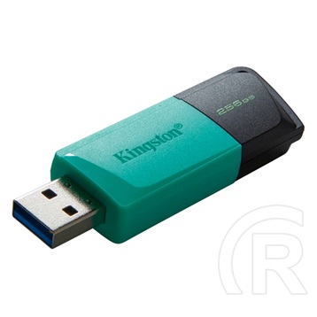 256 GB Pendrive USB 3.2 Kingston DataTraveler Exodia M