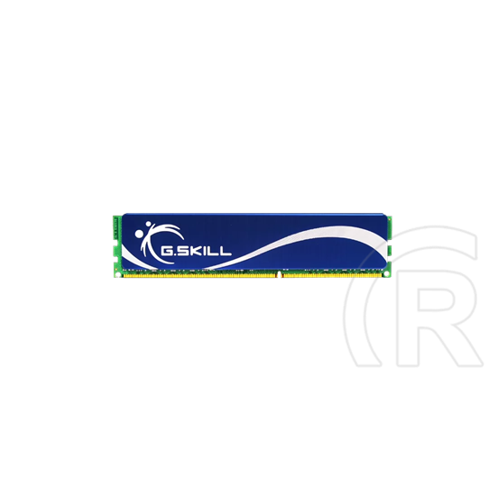 2 GB DDR2 667 MHz RAM G.Skill Blue