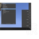 31,1" HP Z31x monitor