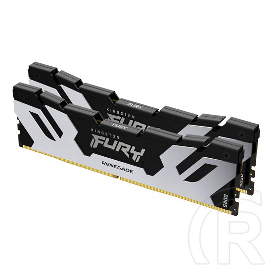 32 GB DDR5 6400MHz RAM Kingston Fury Renegade Black/Silver (2x16 GB)