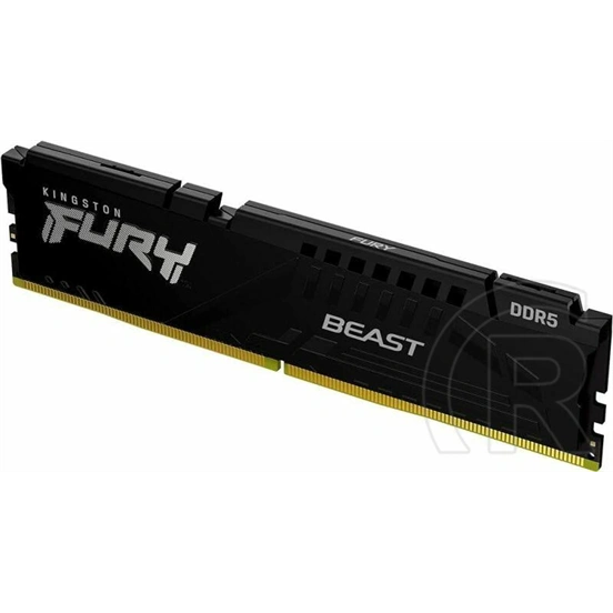 32 GB DDR5 6400 MHz RAM Kingston Fury Beast RGB EXPO (CL32, DIMM)