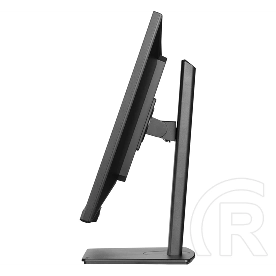32" iiyama XUB3297QSNP-B1 monitor (IPS, LED)