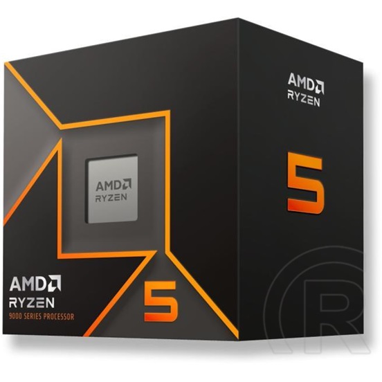 AMD Ryzen 5 9600 CPU (3,8 GHz, AM5, box)