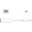 Apple Thunderbolt to Firewire adapter