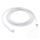 Apple USB-C - Lightning kábel (2 m)