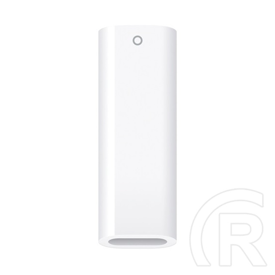 Apple USB-C – Apple Pencil adapter