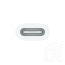 Apple USB-C – Apple Pencil adapter