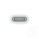 Apple USB-C – Apple Pencil adapter