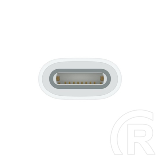 Apple USB-C – Apple Pencil adapter