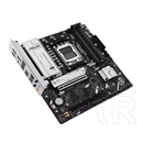 Asus PRIME B850M-F (mATX, AM5)