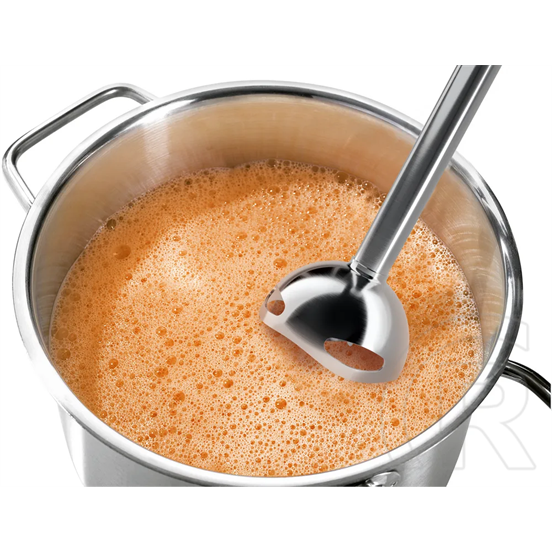 Bosch MSM2610B fekete botmixer