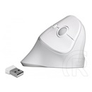 Delock 12596 Ergonómikus cordless optikai egér (USB, fehér)