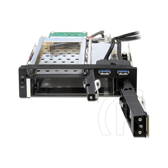 Delock 5,25" mobil rack (2,5"/3,5" SATA, 2xUSB 3.0)