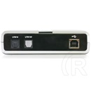 Delock Sound Box USB hangkártya (7.1)