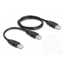 Delock USB-A 2.0 Y adatkábel (2x USB-A 2.0 M, 0,7 m, fekete)