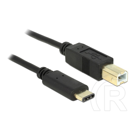 Delock USB 2.0 kábel (B dugó / C dugó, 2 m, fekete)