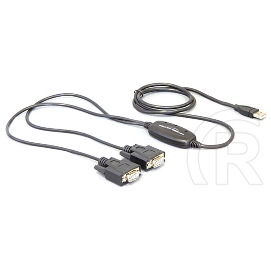 Delock USB - 2 x soros átalakító (2 x DB9) 1,4 m
