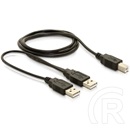 Delock USB 2.0 A-B Y-kábel 1m