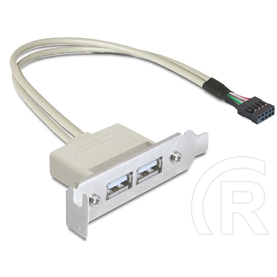 Delock USB 2.0 hátlapi kivezetés (2 port, low profile)