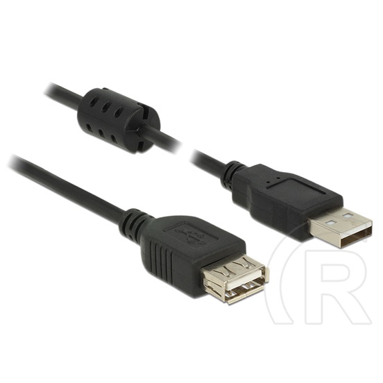 Delock USB 2.0 hosszabbító kábel (A-A, 2 m, fekete)