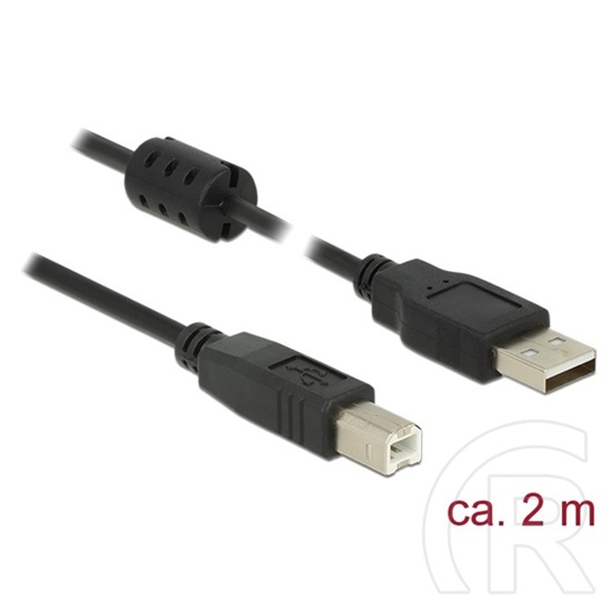 Delock USB 2.0 kábel (A dugó / B dugó, 2 m, fekete)