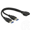 Delock USB 3.0 kábel 19 pin (M) - 2 x A (M) 25 cm