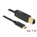 Delock USB 3.1 Gen2 kábel (C dugó / B dugó, 1 m, fekete)