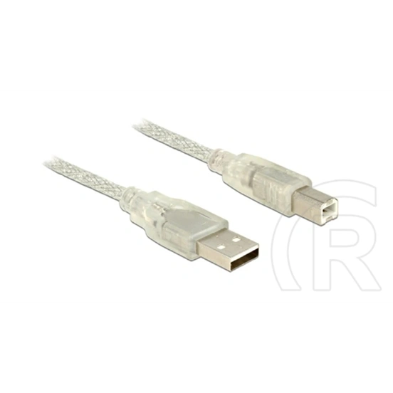 Delock USB adatkábel (USB-A 2.0 - USB-B 2.0, M/M, 1 m, átlátszó)